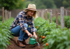 Arroser les pieds de tomates : comment optimiser l’arrosage pour une bonne croissance? Femme en chapeau de paille arrosant tomates dans un jardin