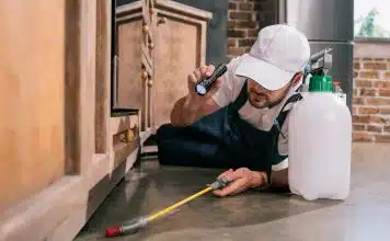 Les services d’un expert anti-nuisibles dans la Drôme : importance et avantages