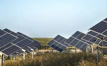 Ombrière photovoltaïque et bornes de recharge : l’essentiel sur cette synergie